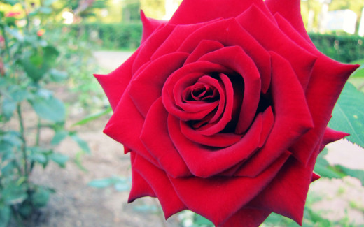 147453 (a): :2560x1600